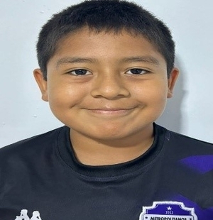 JAVIER ALEJANDRO CASTILLO ROMERO